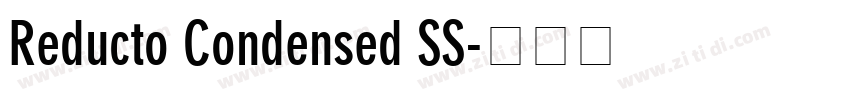 Reducto Condensed SS字体转换